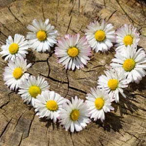 חשיבות הפרידה הפיזית בתהליך האבל