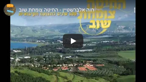 החיטה צומחת שוב - שירים להלוויה